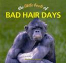 Image for The little book of bad hair days