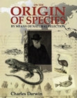 Image for On the origin of species  : by means of natural selection