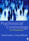 Image for Psychosocial criminology