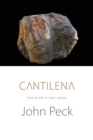 Image for Cantilena  : one book in four spans