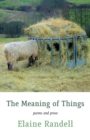 Image for The Meaning of Things