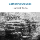 Image for Gathering grounds  : 2011-2019