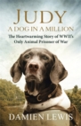 Image for Judy  : a dog in a million