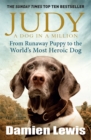 Image for Judy  : a dog in a million