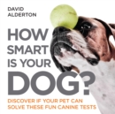 Image for How Smart Is Your Dog?