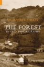 Image for The Forest in Old Photographs