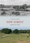 Image for New Forest through time