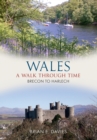 Image for Wales A Walk Through Time - Brecon to Harlech