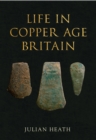 Image for Life in copper age Britain