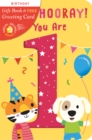 Image for Hip, Hip, Hooray You Are 1!