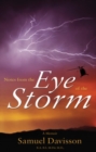 Image for Notes From The Eye Of The Storm