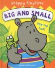 Image for Big and small  : pop-up fun!