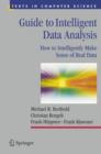 Image for Guide to intelligent data analysis  : how to intelligently make sense of real data