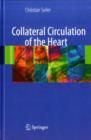 Image for Collateral circulation of the heart