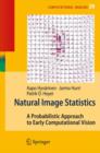 Image for Natural Image Statistics : A Probabilistic Approach to Early Computational Vision.