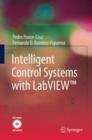Image for Intelligent Control Systems with LabVIEW™
