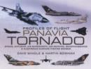 Image for Panavia Tornado  : strike, anti-ship, air superiority, air defence, reconnaissance and electronic warfare fighter-bomber