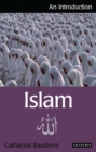 Image for Islam  : an introduction