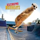Image for Extreme Meerkats 2014 Calendar