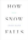 Image for How Snow Falls