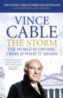 Image for The storm: the world economic crisis and what it means