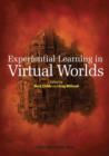 Image for Experiential learning in virtual worlds