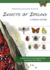 Image for The insects of Ireland  : an illustrated guide to Ireland&#39;s butterflies, ladybirds, shieldbugs, ants