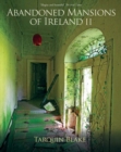 Image for Abandoned mansions of Ireland II  : more portraits of forgotten stately homes : No. II