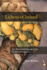 Image for Lichens of Ireland: an illustrated introduction to over 250 species