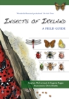Image for The insects of Ireland: an illustrated guide to Ireland&#39;s butterflies, ladybirds, shieldbugs, ants