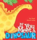 Image for If You Meet a Dinosaur