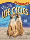 Image for Amazing Life Cycles: Mammals