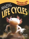 Image for Amazing Life Cycles: Reptiles and Amphibians