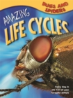 Image for Amazing Life Cycles: Bugs and Spiders