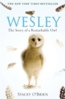 Image for Wesley  : the story of a remarkable owl