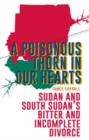 Image for A poisonous thorn in our hearts  : Sudan and South Sudan&#39;s bitter and incomplete divorce