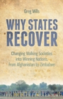 Image for Why states recover  : changing walking societies into winning nations - from Afghanistan to Zimbabwe