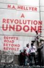 Image for A revolution undone  : Egypt&#39;s road beyond revolt