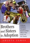 Image for Brothers and Sisters in Adoption