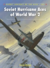 Image for Soviet Hurricane Aces of World War 2