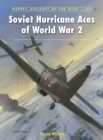 Image for Soviet Hurricane Aces of World War 2 : 107