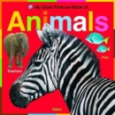 Image for My giant fold-out book of animals