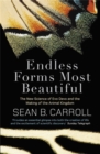 Image for Endless forms most beautiful  : the new science of evo devo and the making of the animal kingdom
