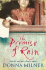 Image for The Promise of Rain