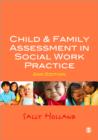 Image for Child &amp; family assessment in social work practice