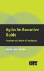 Image for Agile: An Executive Guide : Real Results from IT Budgets