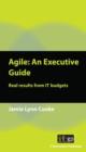 Image for Agile: an executive guide : real results from IT budgets
