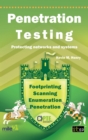 Image for Penetration testing: protecting networks and systems