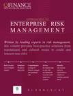 Image for Approaches to Enterprise Risk Management