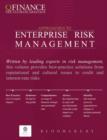 Image for Approaches to enterprise risk management.